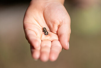Natur erleben am Forellen-Reiterhof